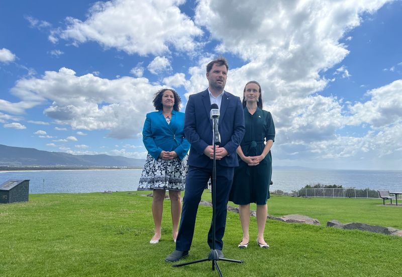 New Greens candidates push for free public services post image