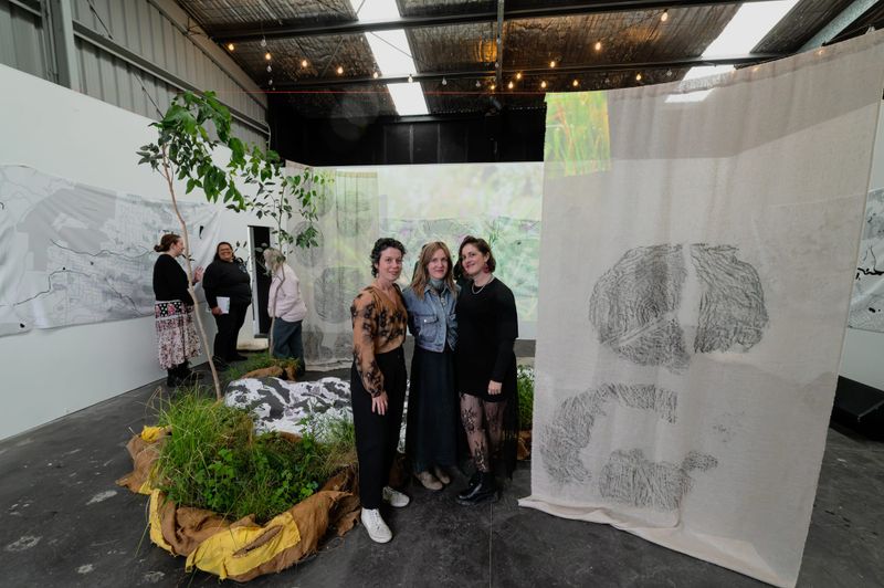 Celebration of Illawarra nature provides sensory smorgasbord post image