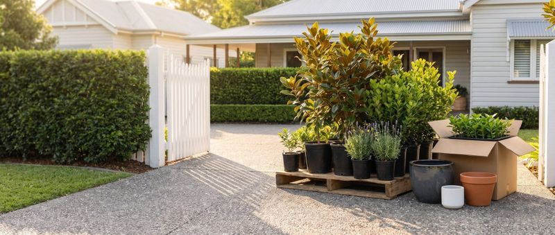 What Illawarra gardeners planted this year, and the local natives worth a spot post image