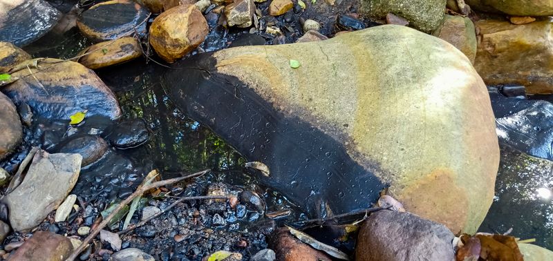 Trouble with holding Peabody to account post image