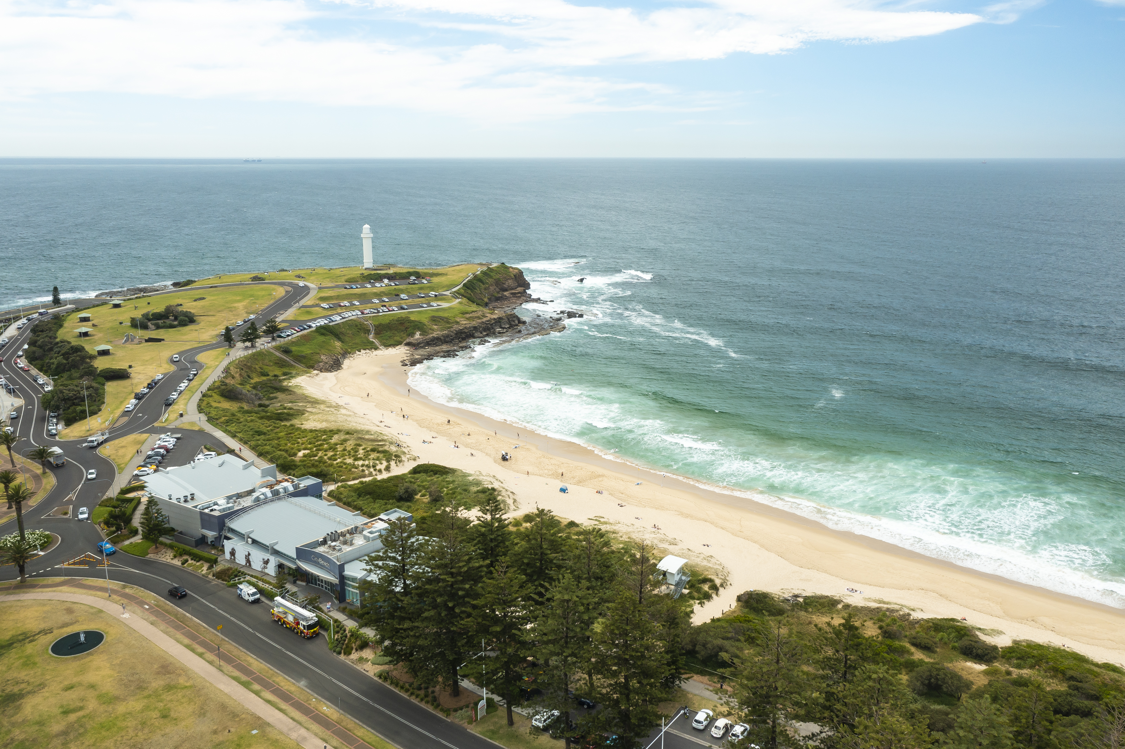 Common Ground: Sea Shepherd Australia says Illawarra offshore research is 'urgent'  post image