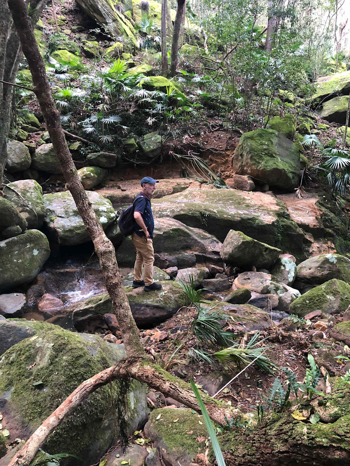 This stunning wide creek within the Illawarra Escarpment State Conservation Area is assessed as a 'Category 1 watercourse' deserving of a 100m riparian zone under Council rules, but only qualifies for a 20m riparian zone under the NSW-wide rules. The Council rules reflect the unique topography of the region. Image by Emma Rooksby. 