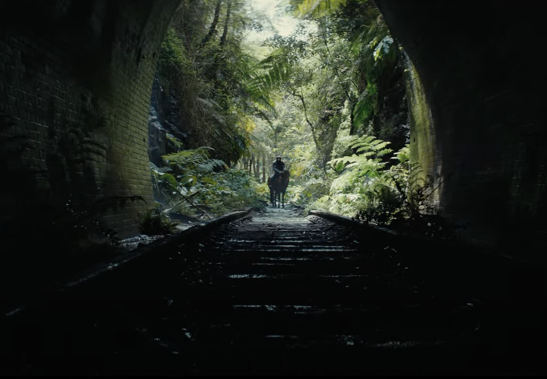 Watch trailer for Disney's 'Kingdom of the Planet of the Apes'