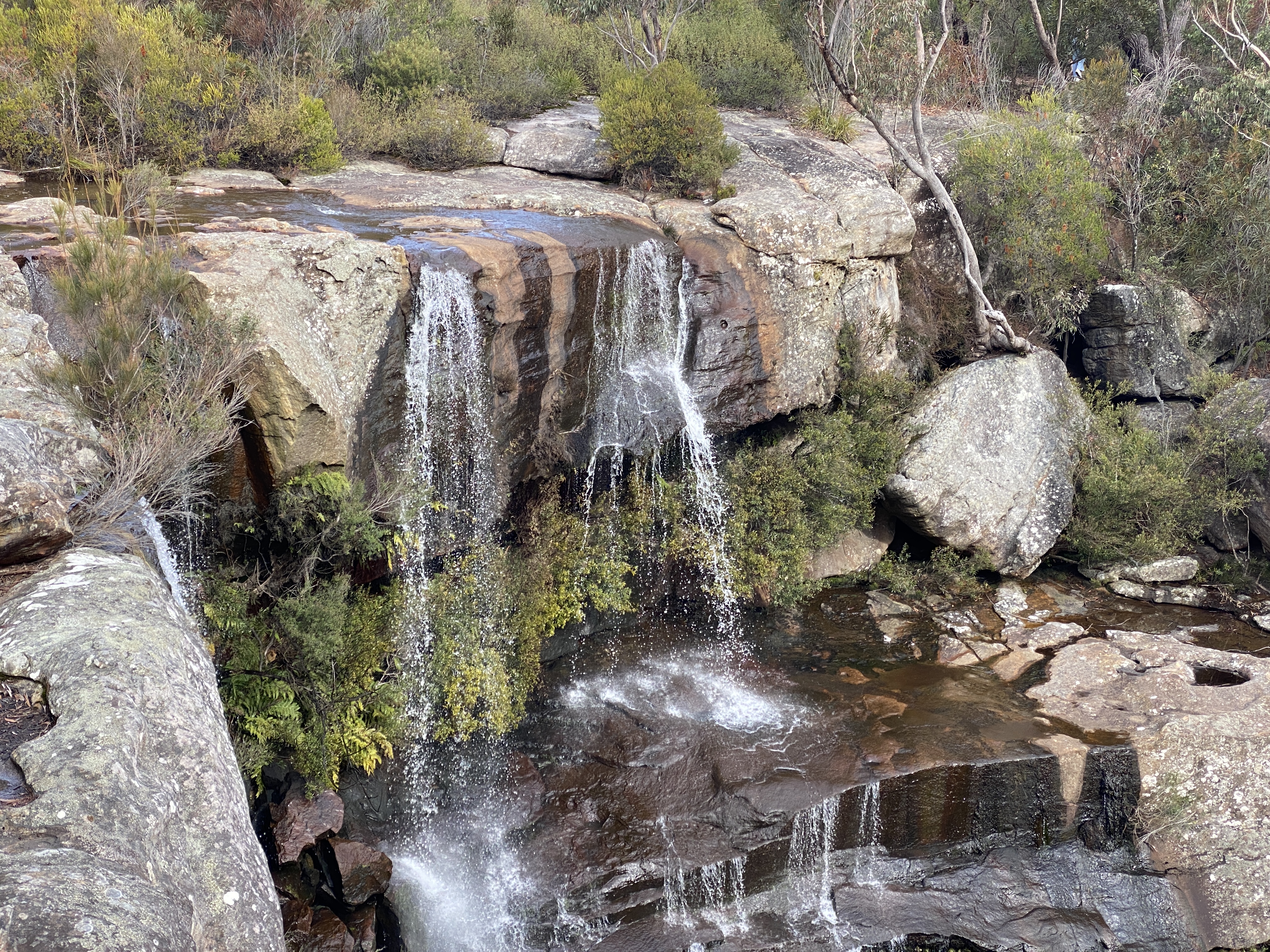 Short and sweet – the walk to Maddens Falls