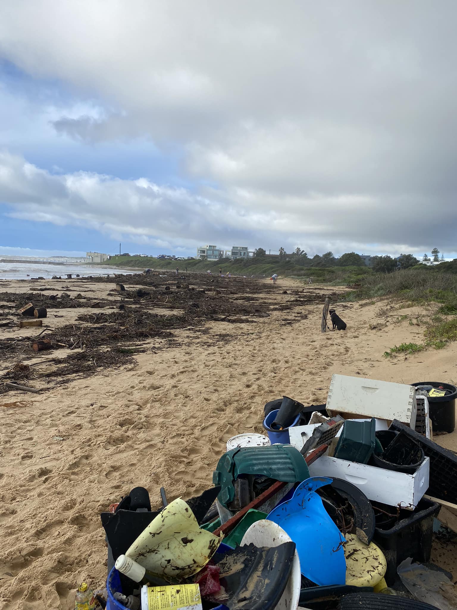 After the storm: how local communities rallied together