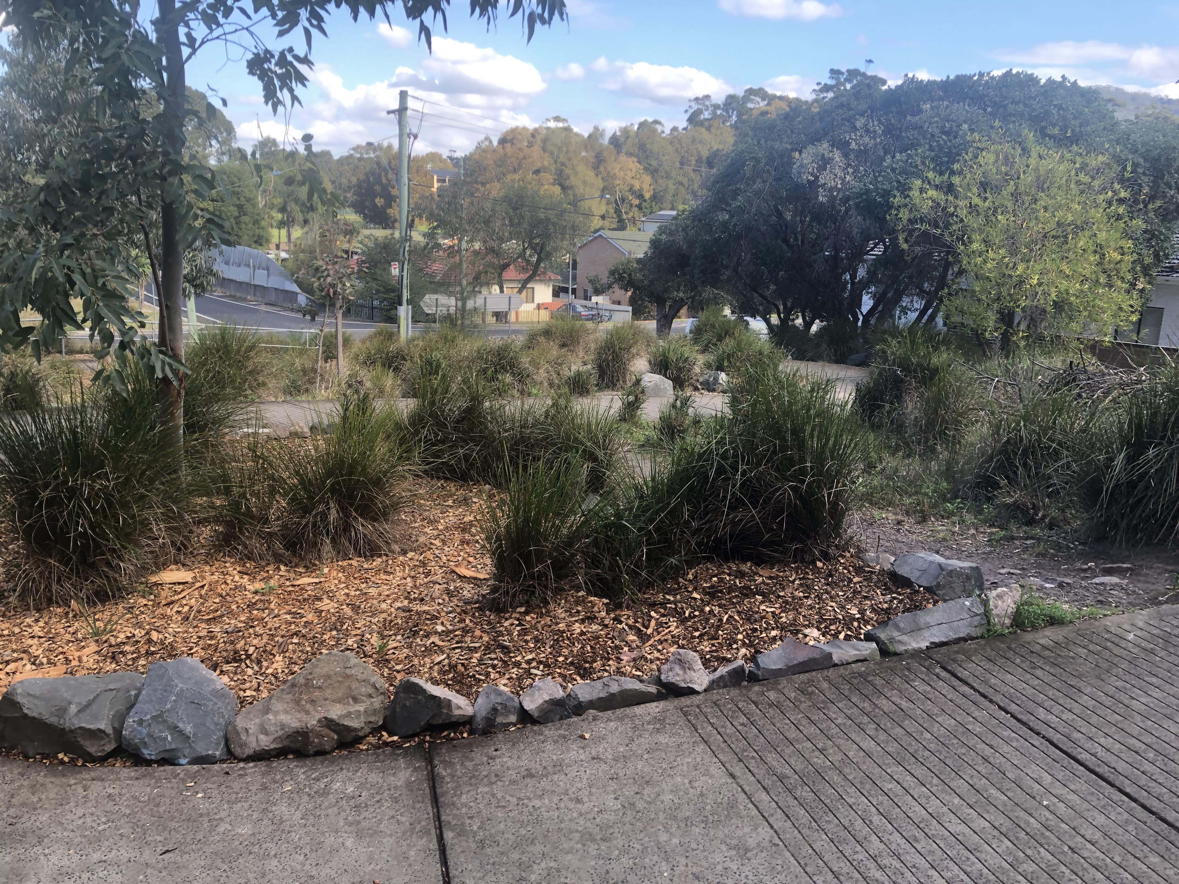 The Serpent: Woonona man's vision sparks community project