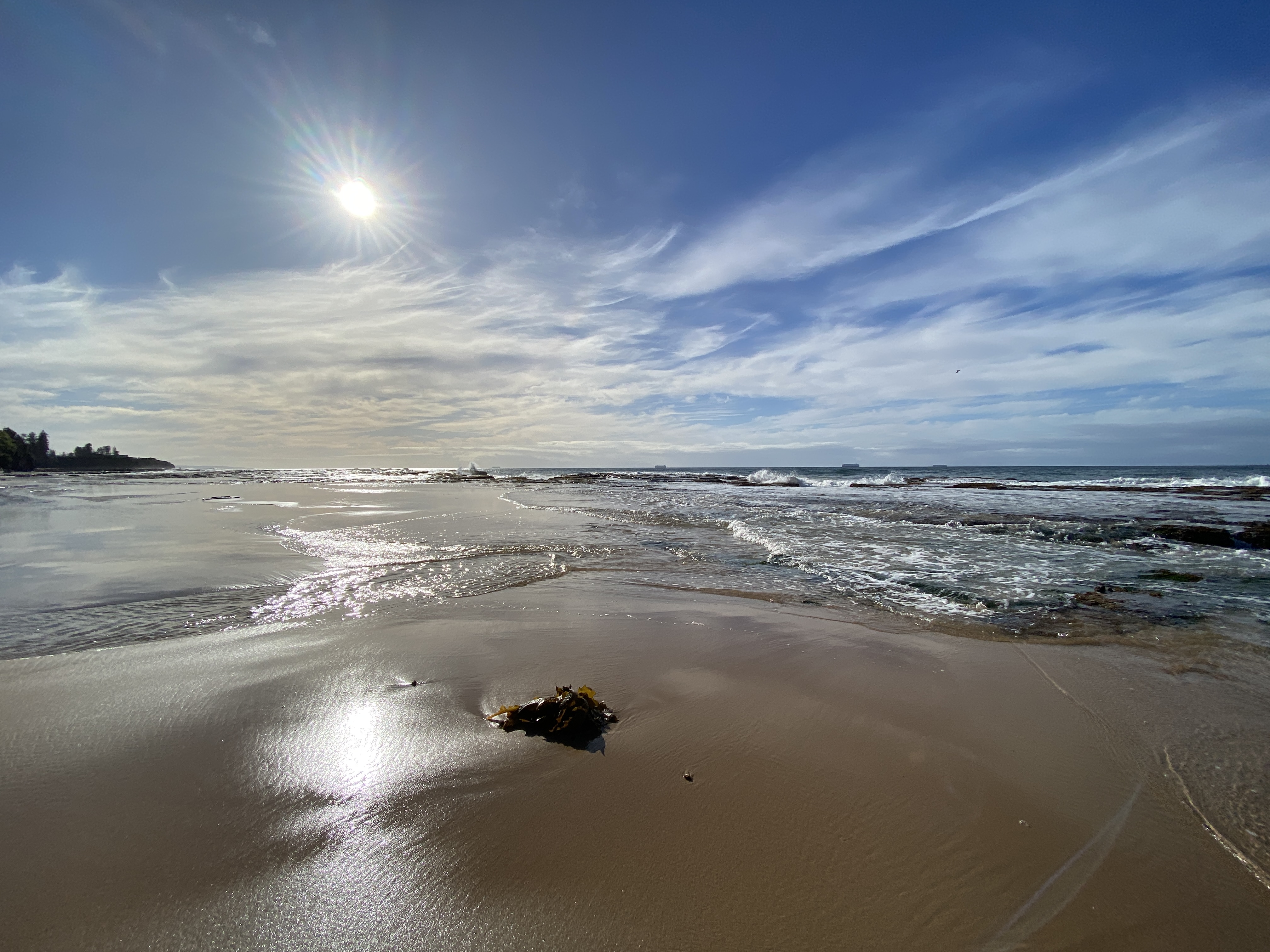 Welcome to Wednesday