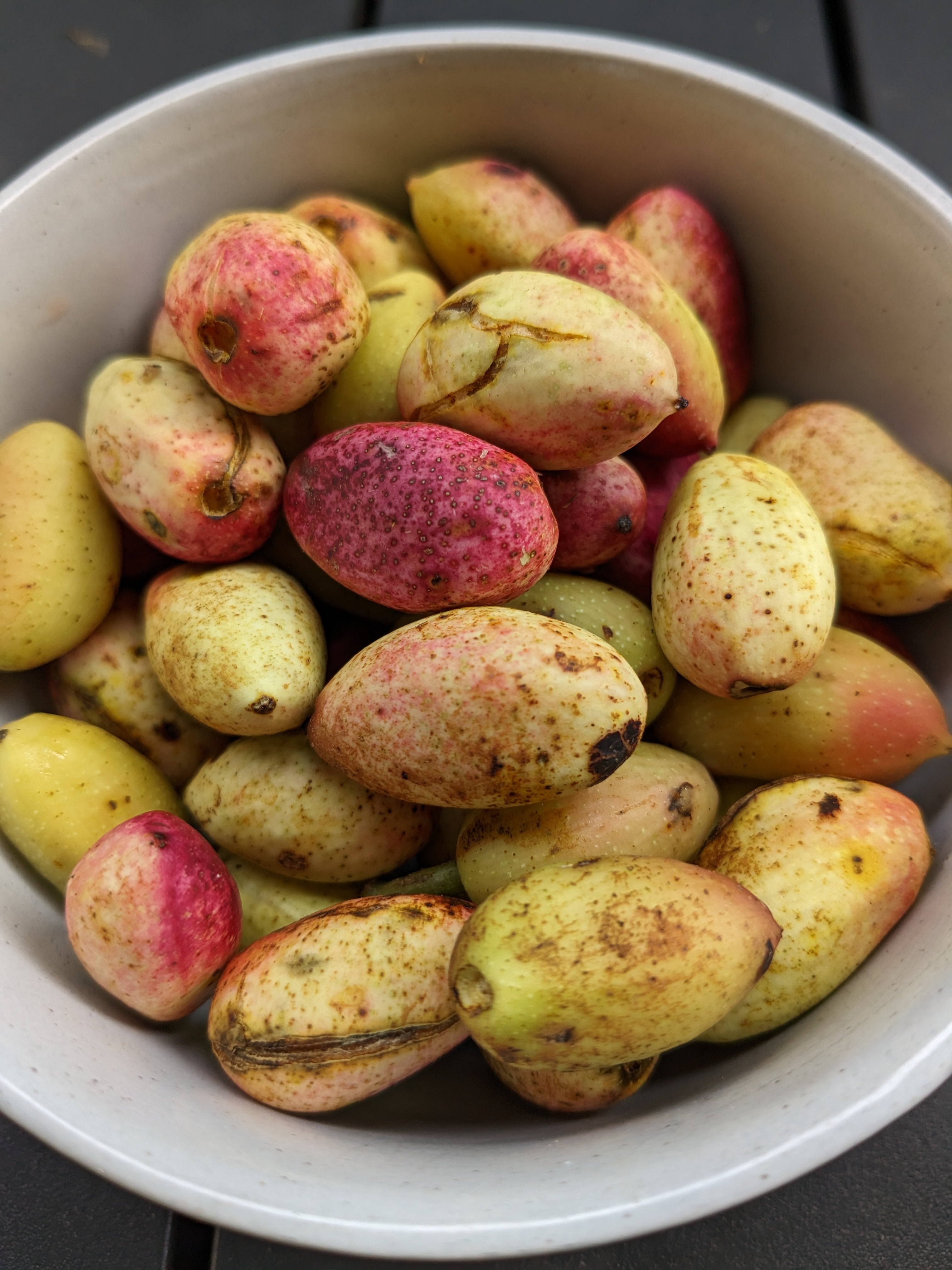 Let’s talk about pistachios  post image