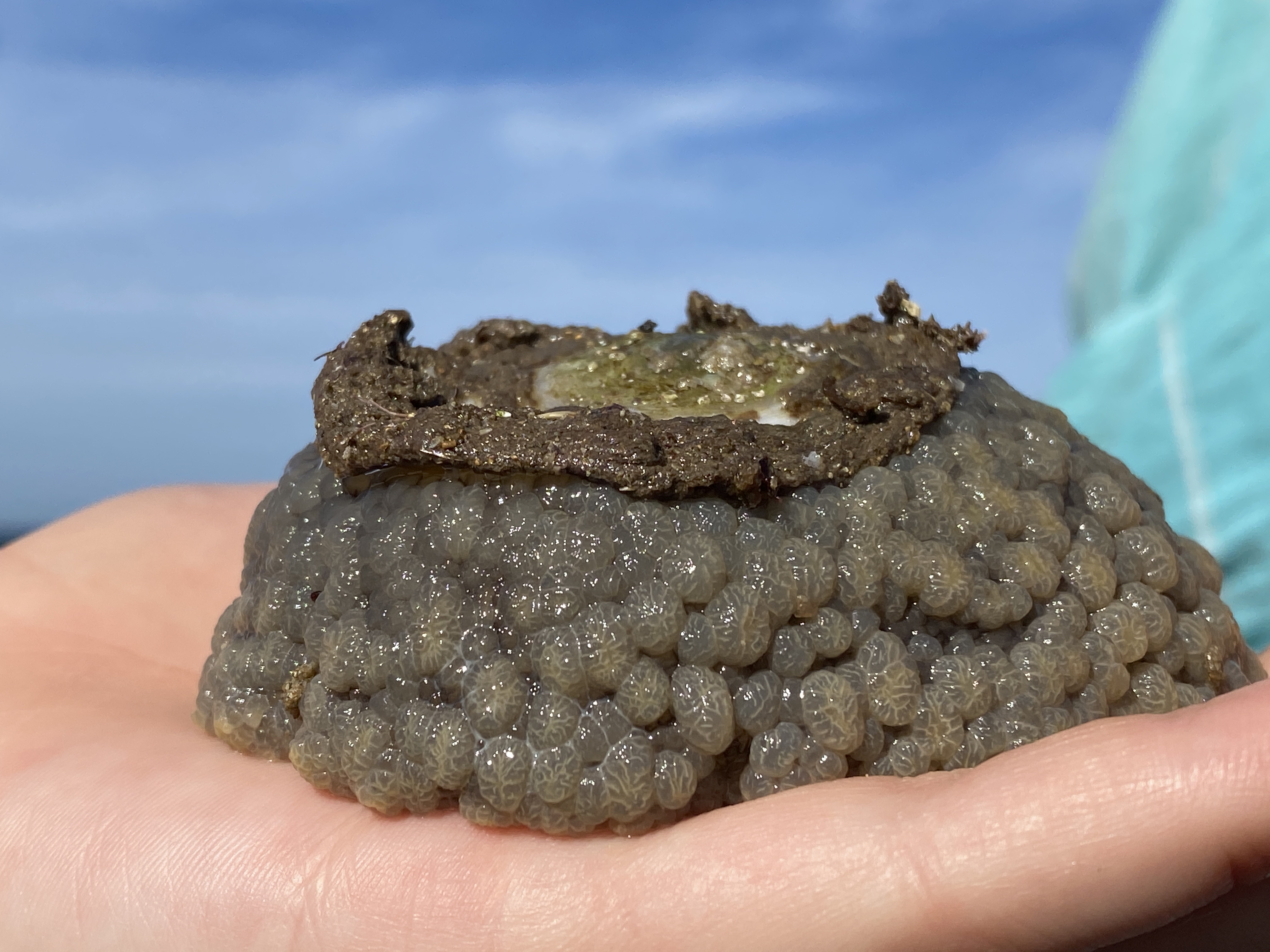 Welcome to 'What on Earth?!' Wednesday