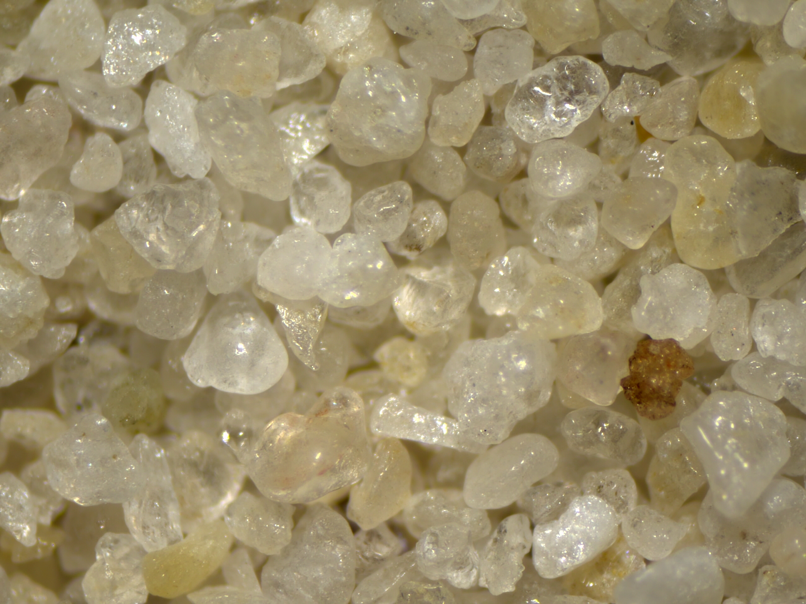 Dr Rip presents The Sands of Time, Part 2