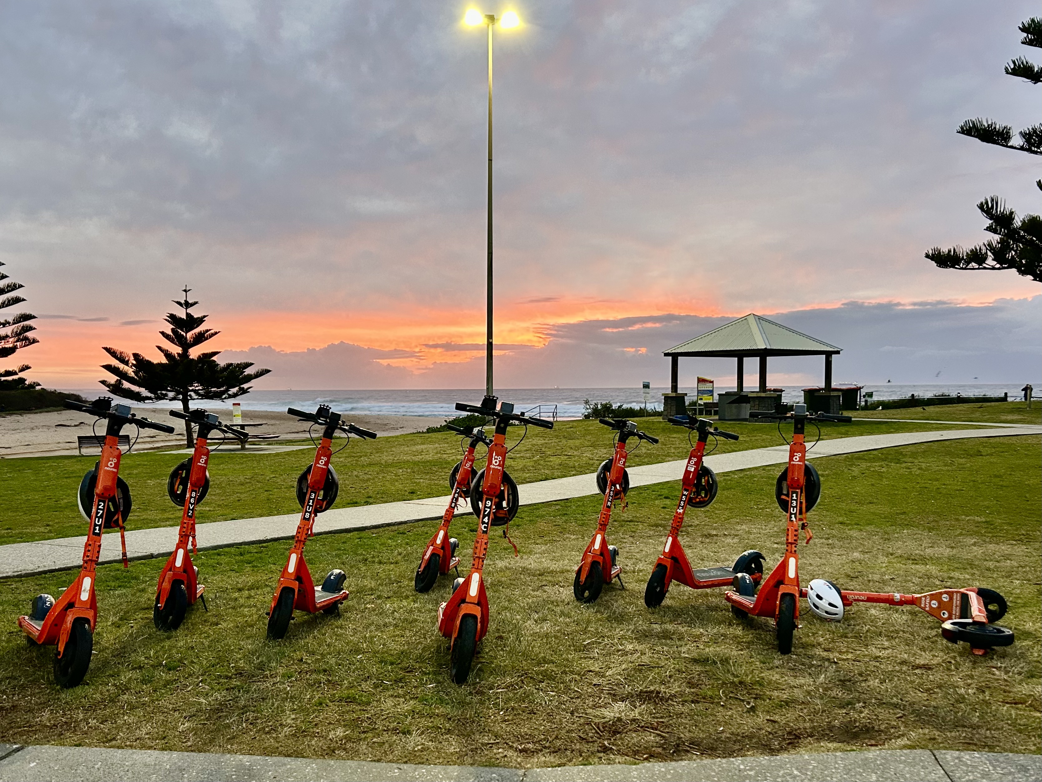 Should Council follow other Australian cities and ban e-scooter hire?  post image