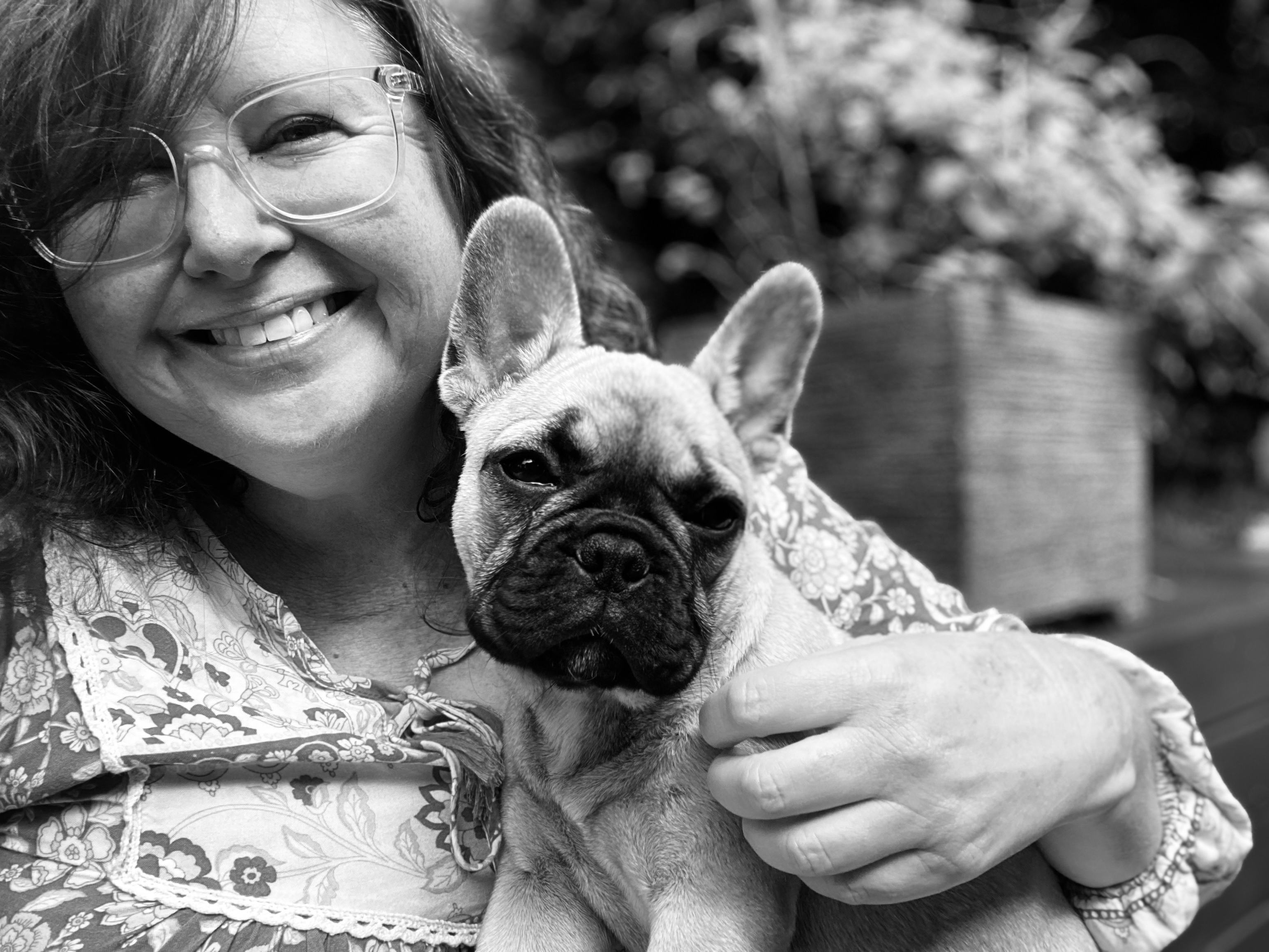 Getting a new dog – how soon is too soon?