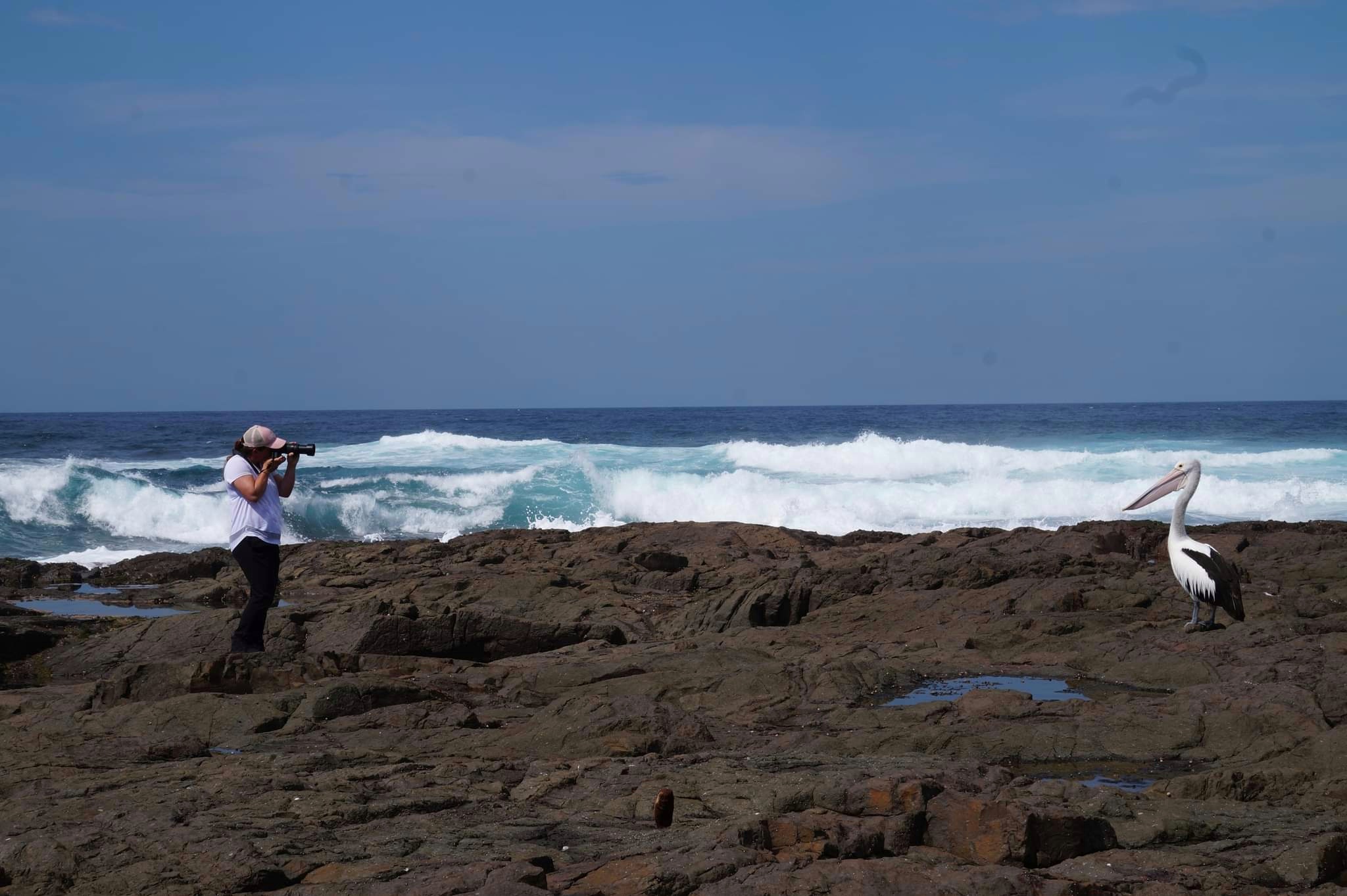 My 3 favourite wild experiences  post image