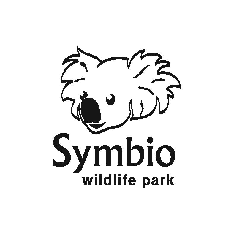 Kevin Fallon  profile image