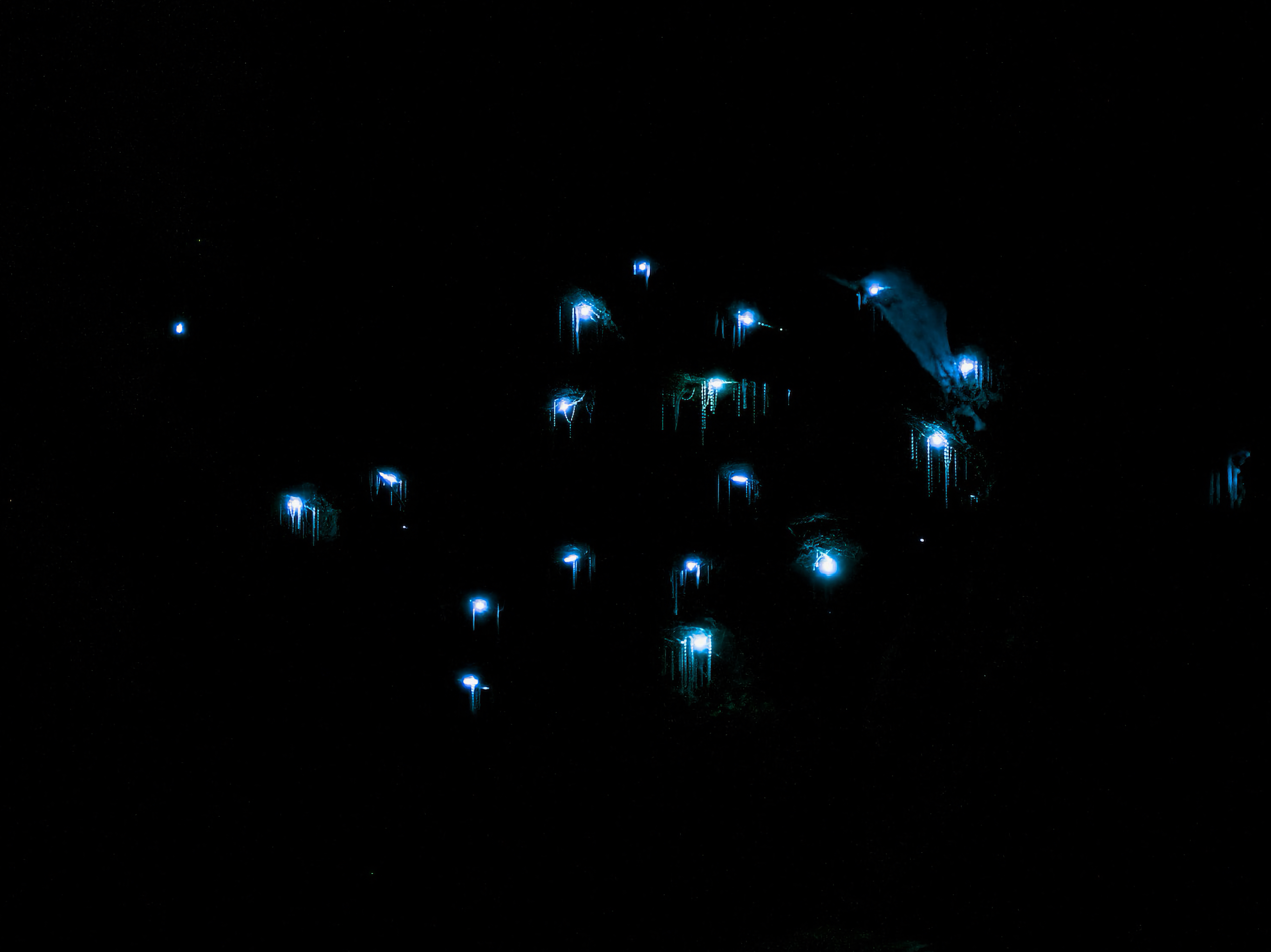 Helensburgh Glowworm Tunnel: should we be gatekeeping the gate?