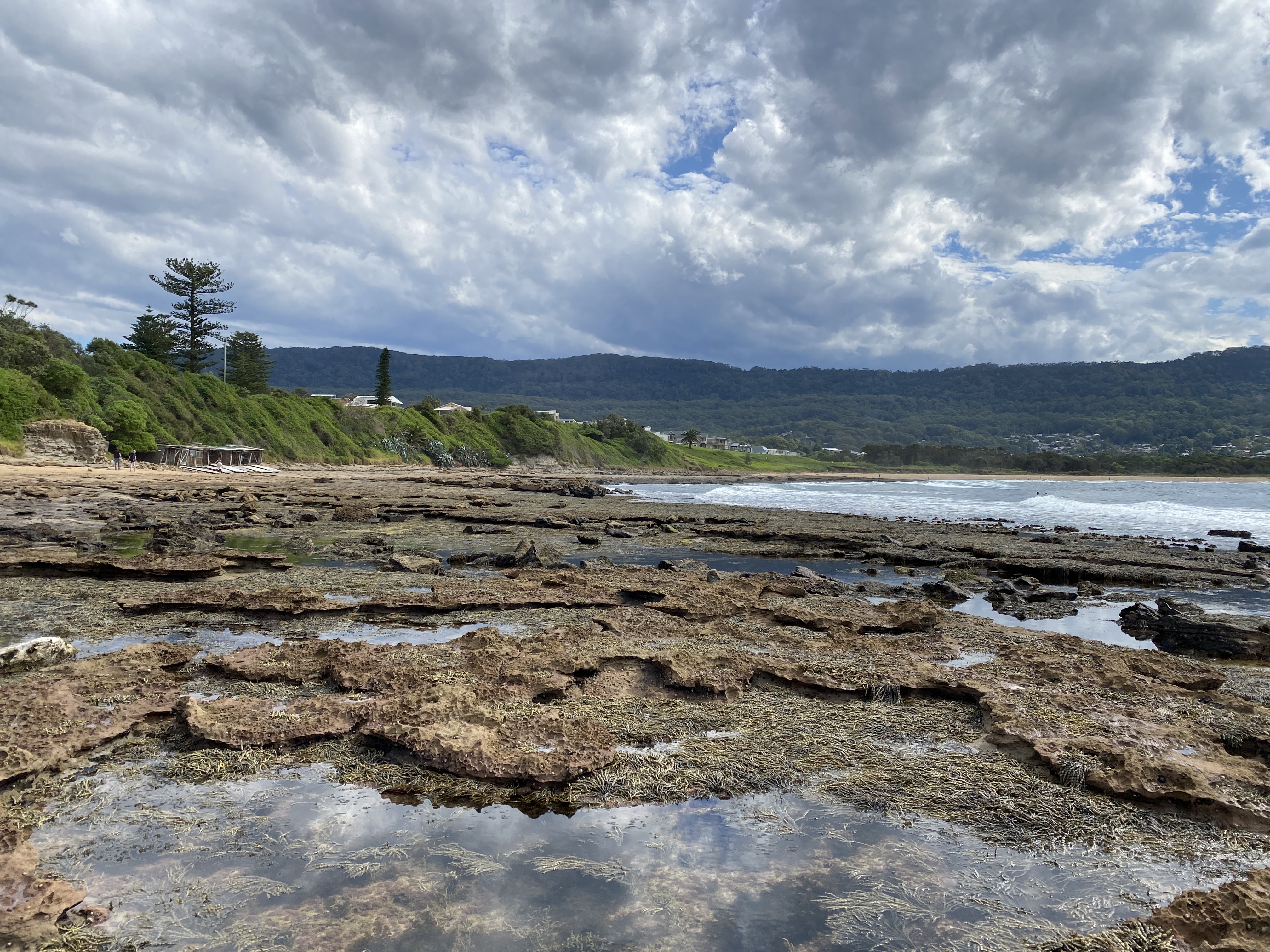 Hi there, Wednesday readers