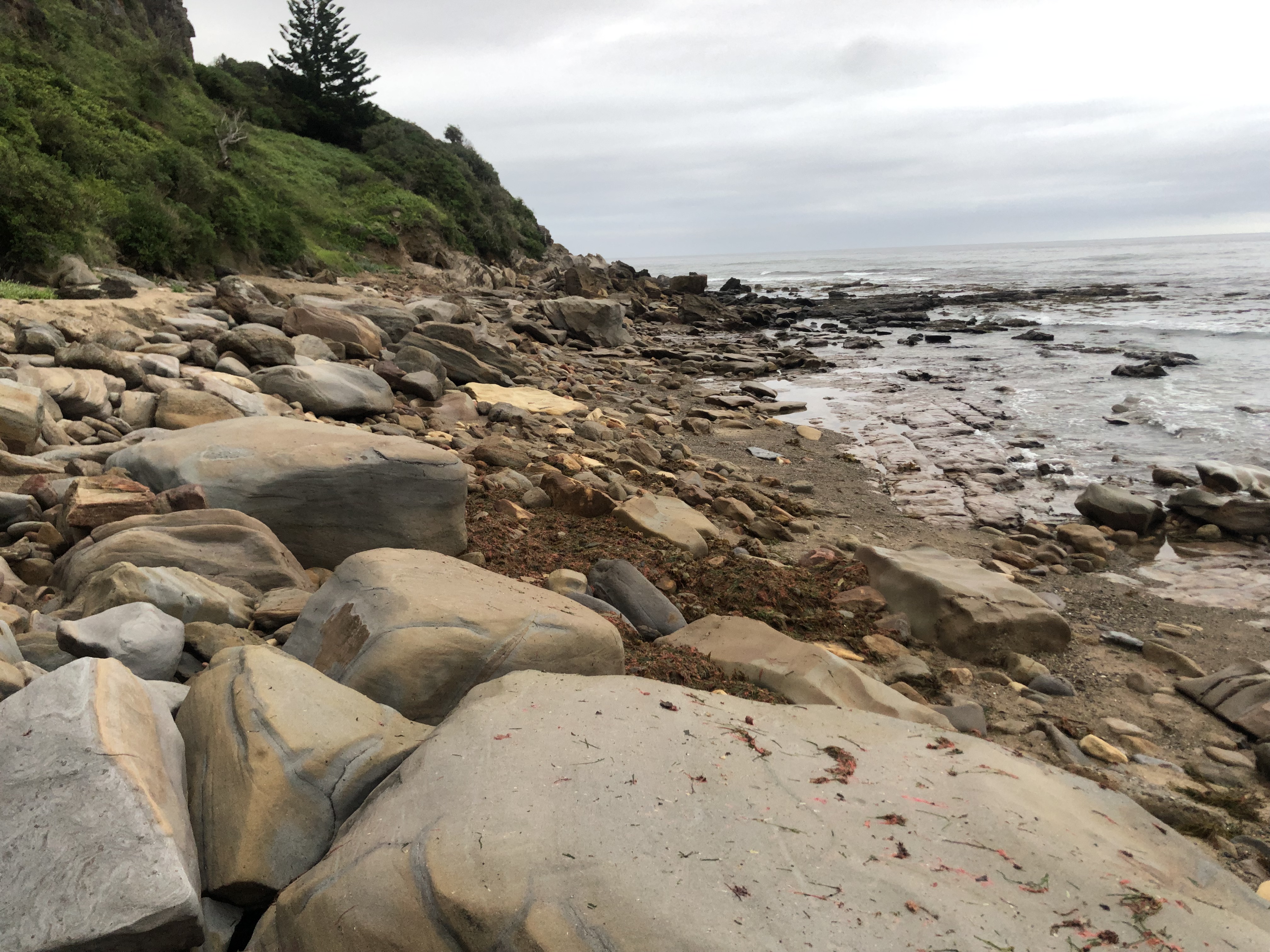 Are we at risk of tsunami?