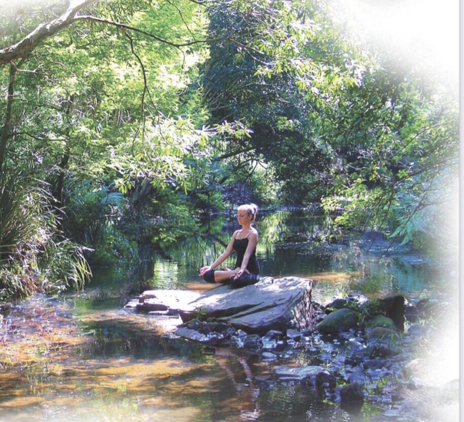 Retreats for domestic abuse survivors  post image