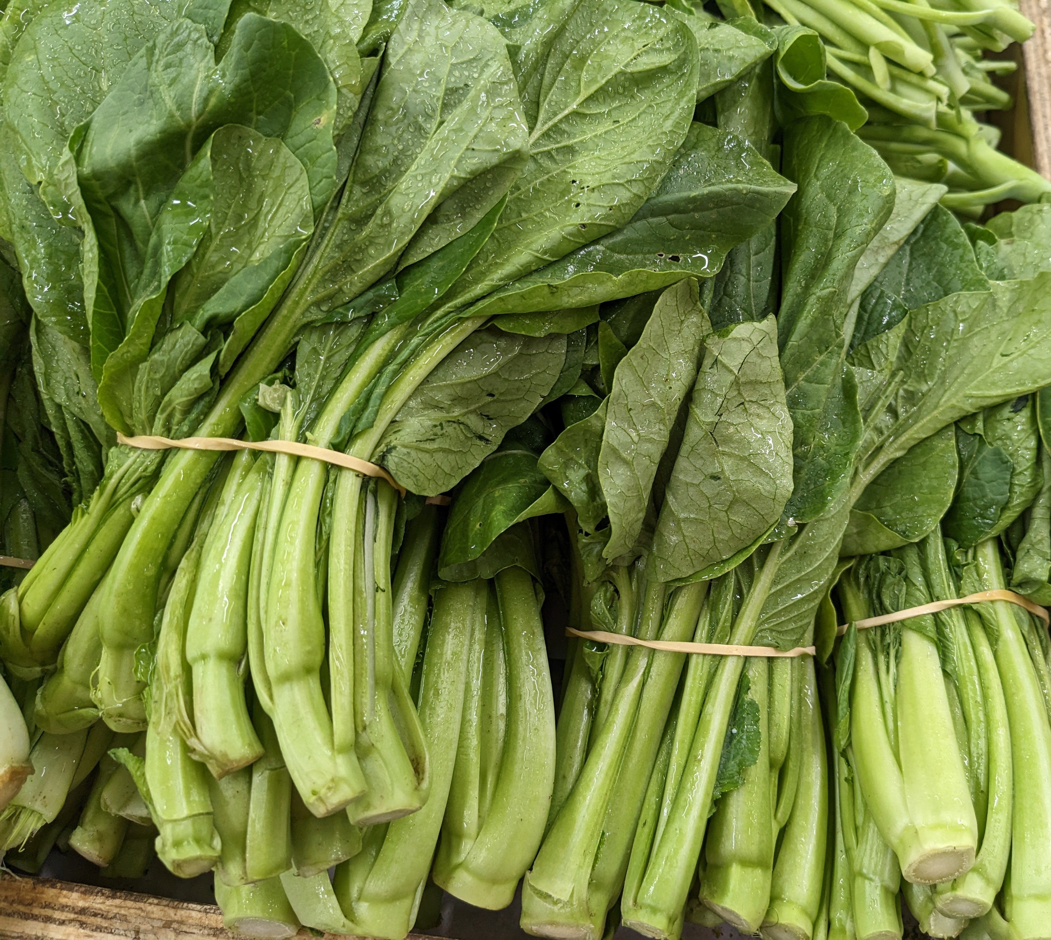 Let’s talk about Asian greens  post image