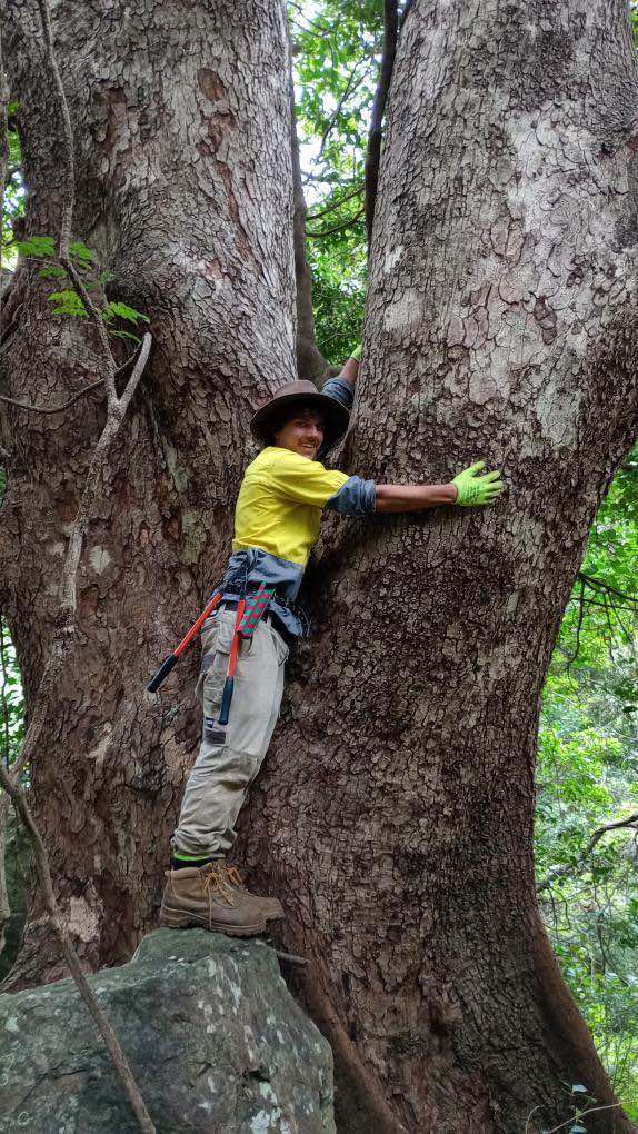 How volunteering at Bushcare led to a career in regeneration  post image