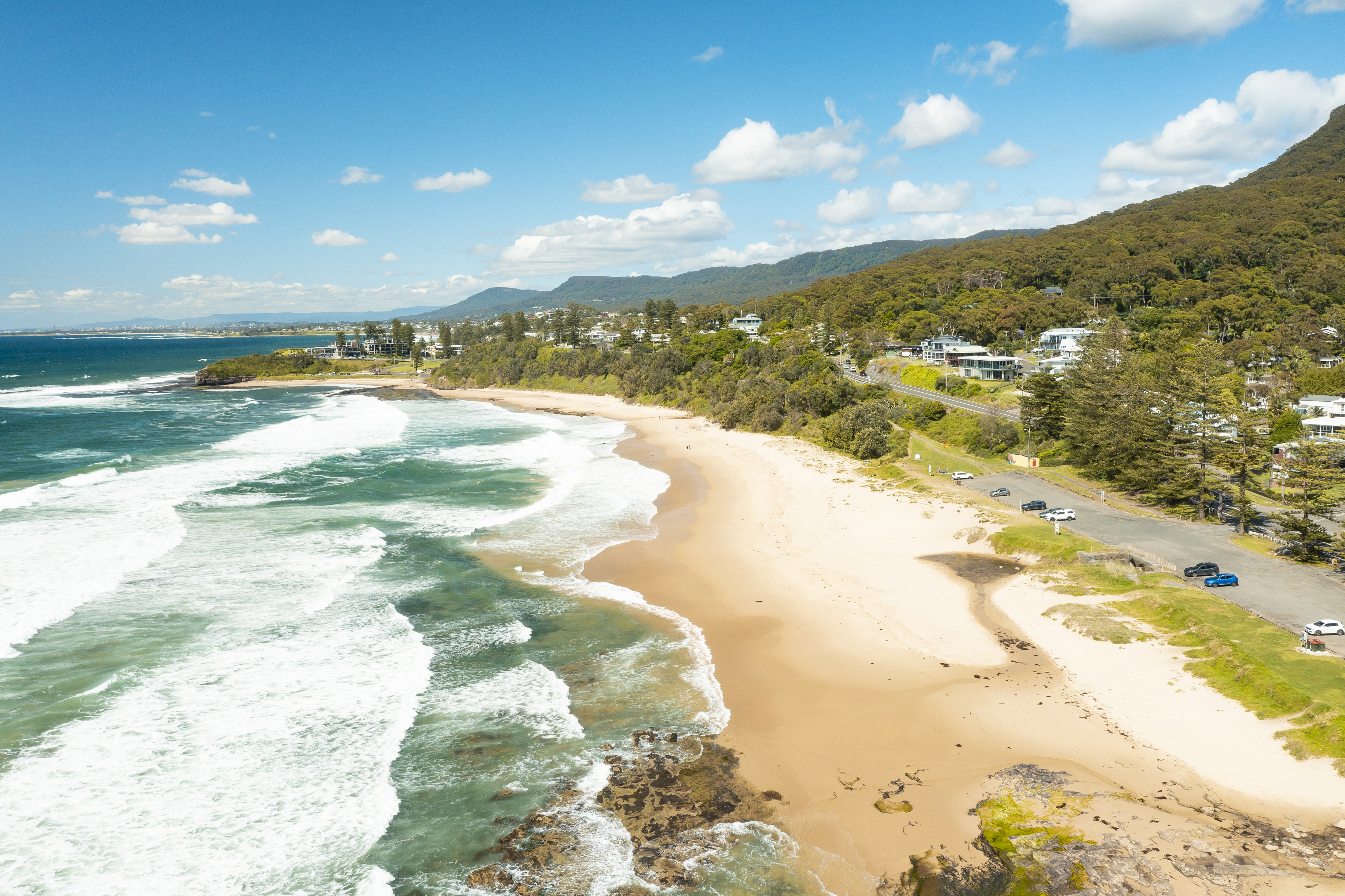 Sharkeys Bushcare invites you to an Open Day  post image