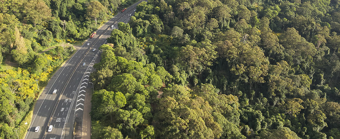Have your say on safety and reliability projects in planning for Mount Ousley