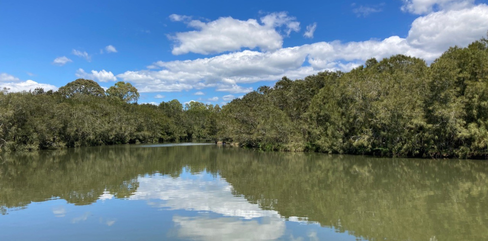 Update on the artworks at Hooka Point Jetty and Footbridge