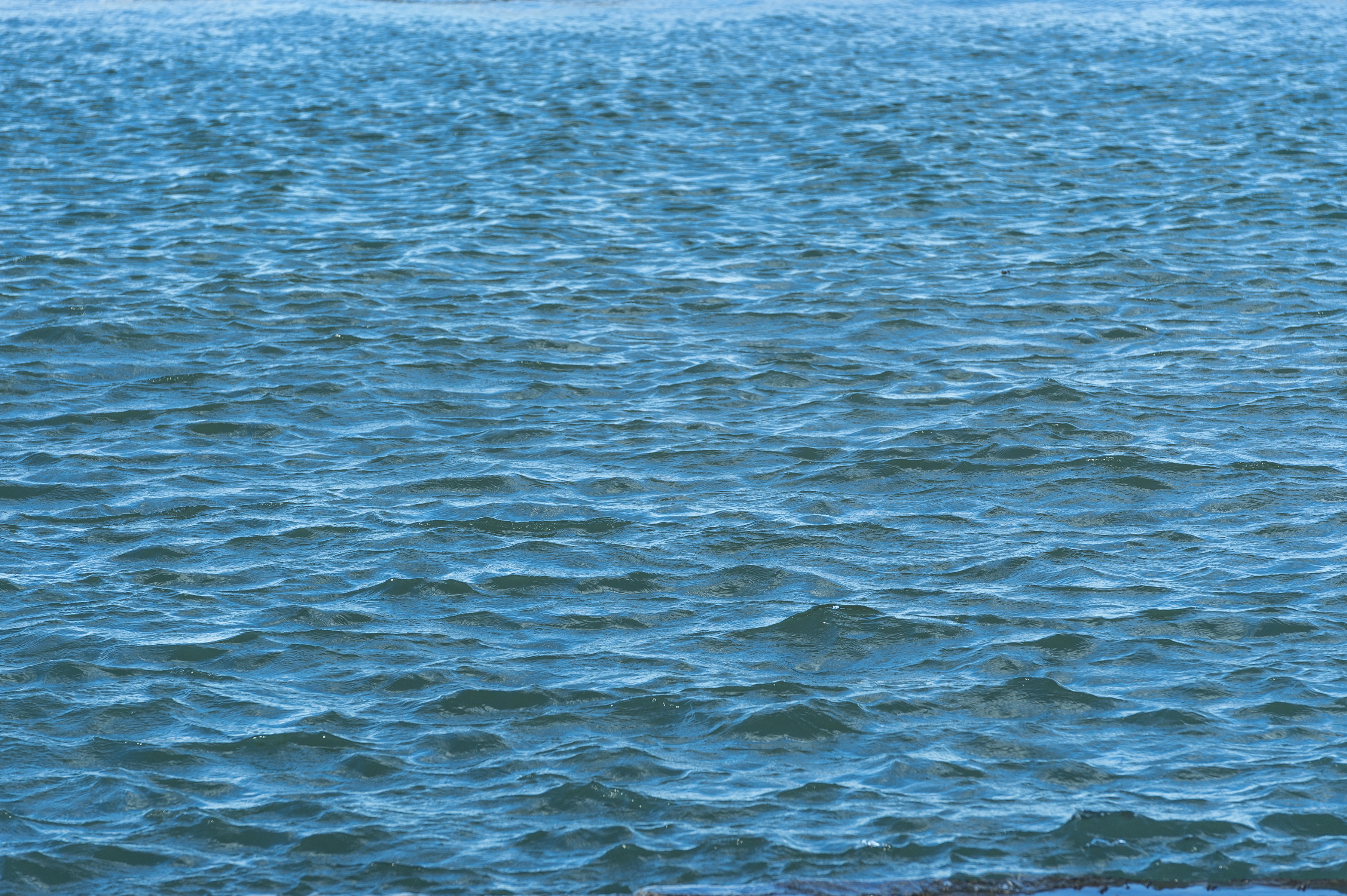 We now have a treaty governing the high seas. Can it protect the Wild West of the oceans?