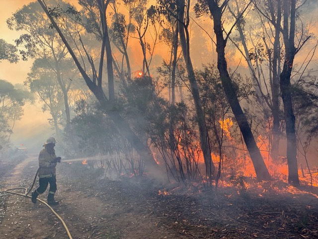 Test your bushfire knowledge
