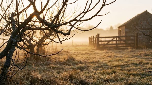 What Scripture Says About Joy (And Why It Is Not the Same as Happiness)