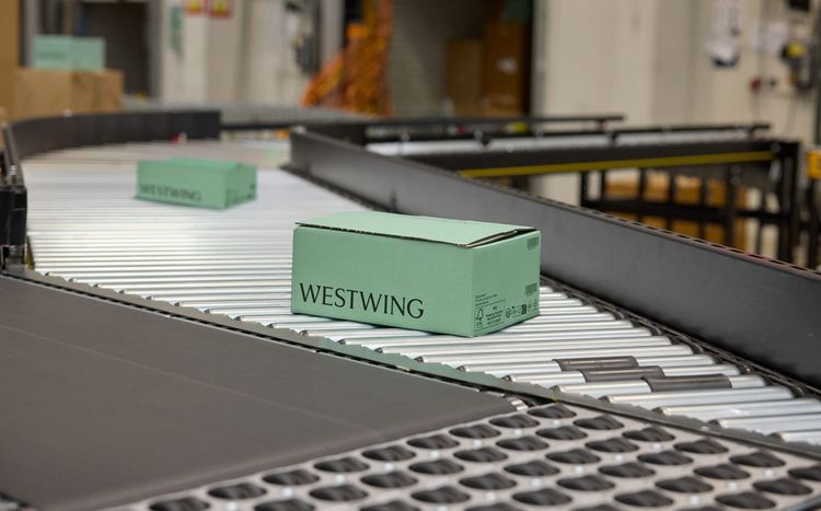 Westwing Business Model Analysis