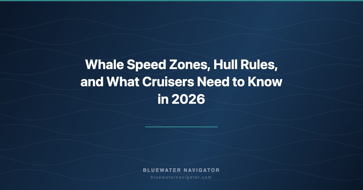 Whale Speed Zones, Hull Rules, and What Cruisers Need to Know in 2026