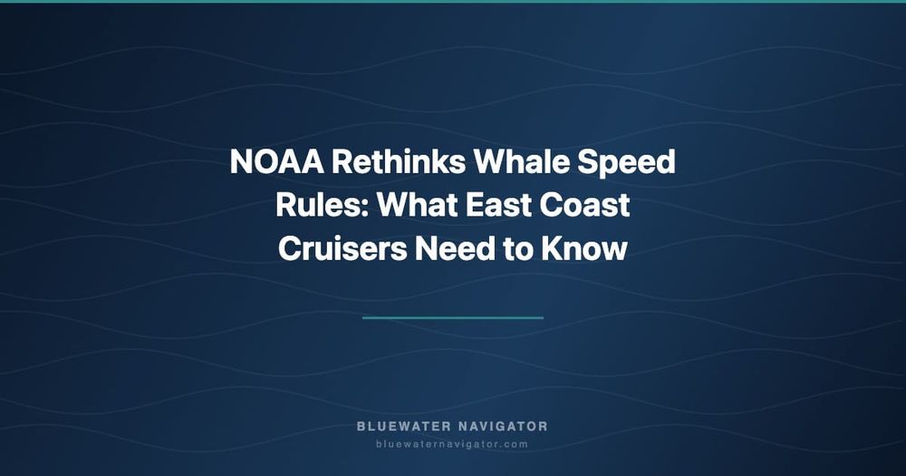 NOAA Rethinks Whale Speed Rules: What East Coast Cruisers Need to Know