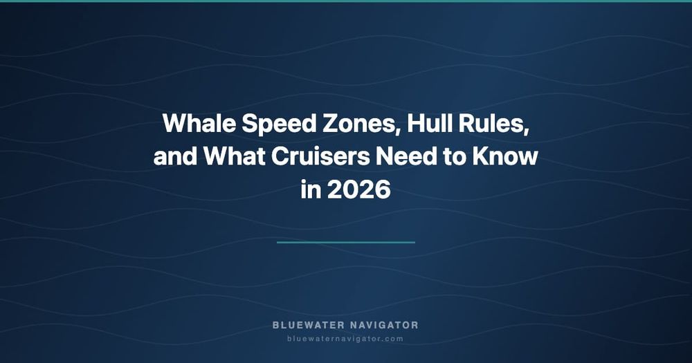 Whale Speed Zones, Hull Rules, and What Cruisers Need to Know in 2026