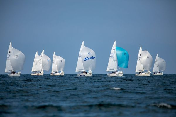 Fleet of racing sailboats flying spinnakers on open water