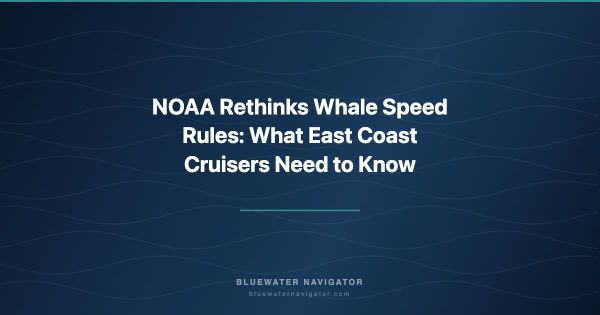 NOAA Rethinks Whale Speed Rules: What East Coast Cruisers Need to Know