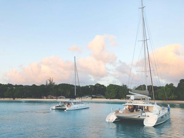 Catamarans at anchor in a harbor