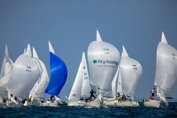 Fleet racing under spinnakers