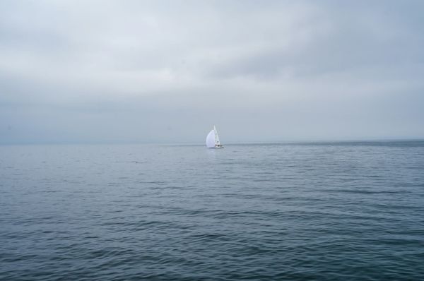 Lone sailboat reduced to deeply reefed sail in heavy fog and overcast