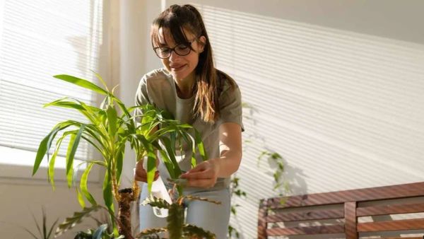 Brainstorm session using Yes And improv method creativity - The Inspiration Space