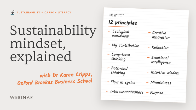 What is a sustainability mindset? – Watch & Learn