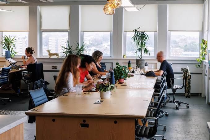 People working at shared desks in a bright PLATF9RM coworking space with large windows and plants.