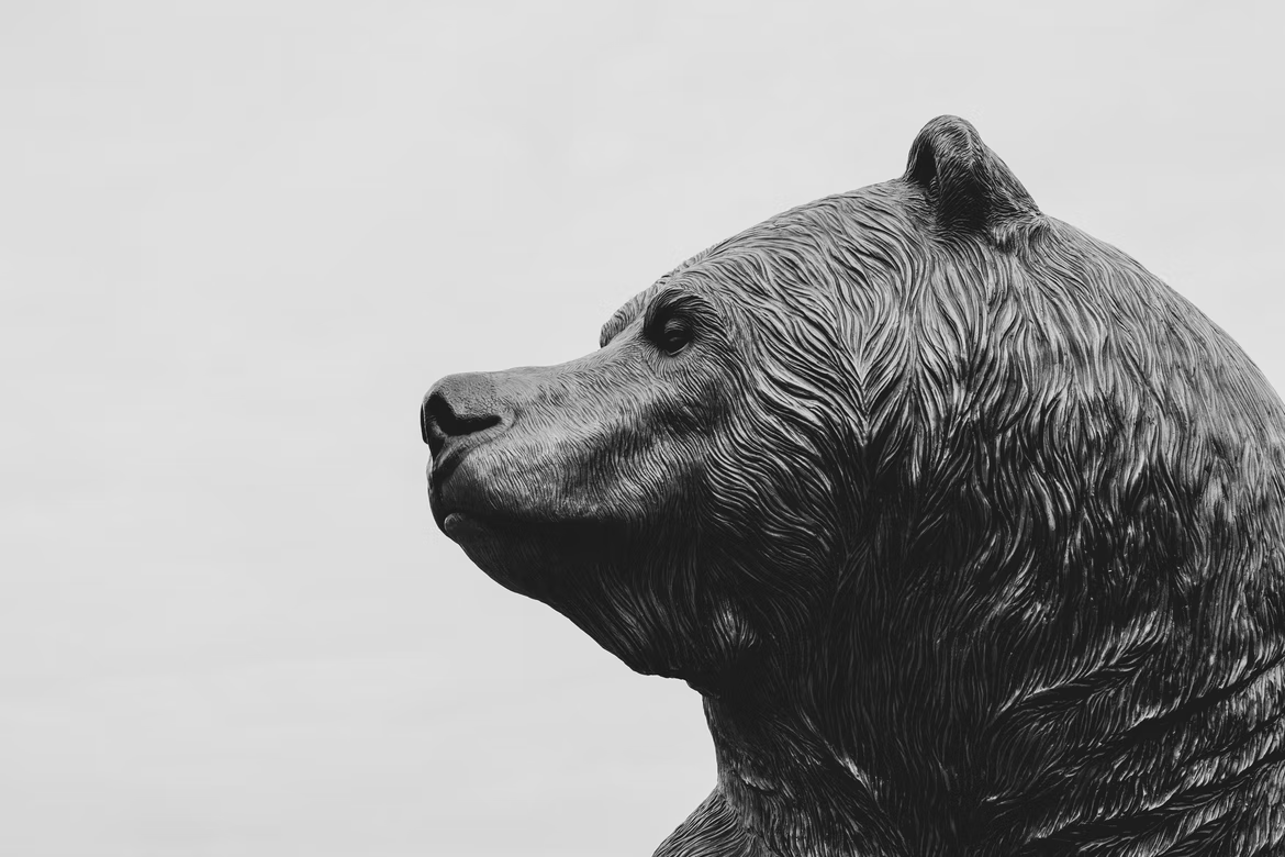 What To Do About The Downturn