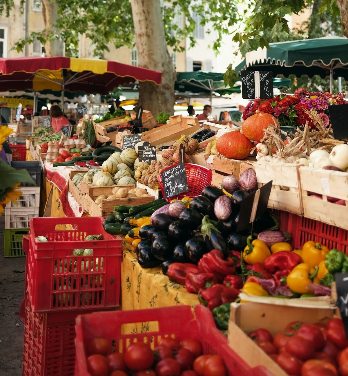 Carpentras et son marché dans le département de Vaucluse 