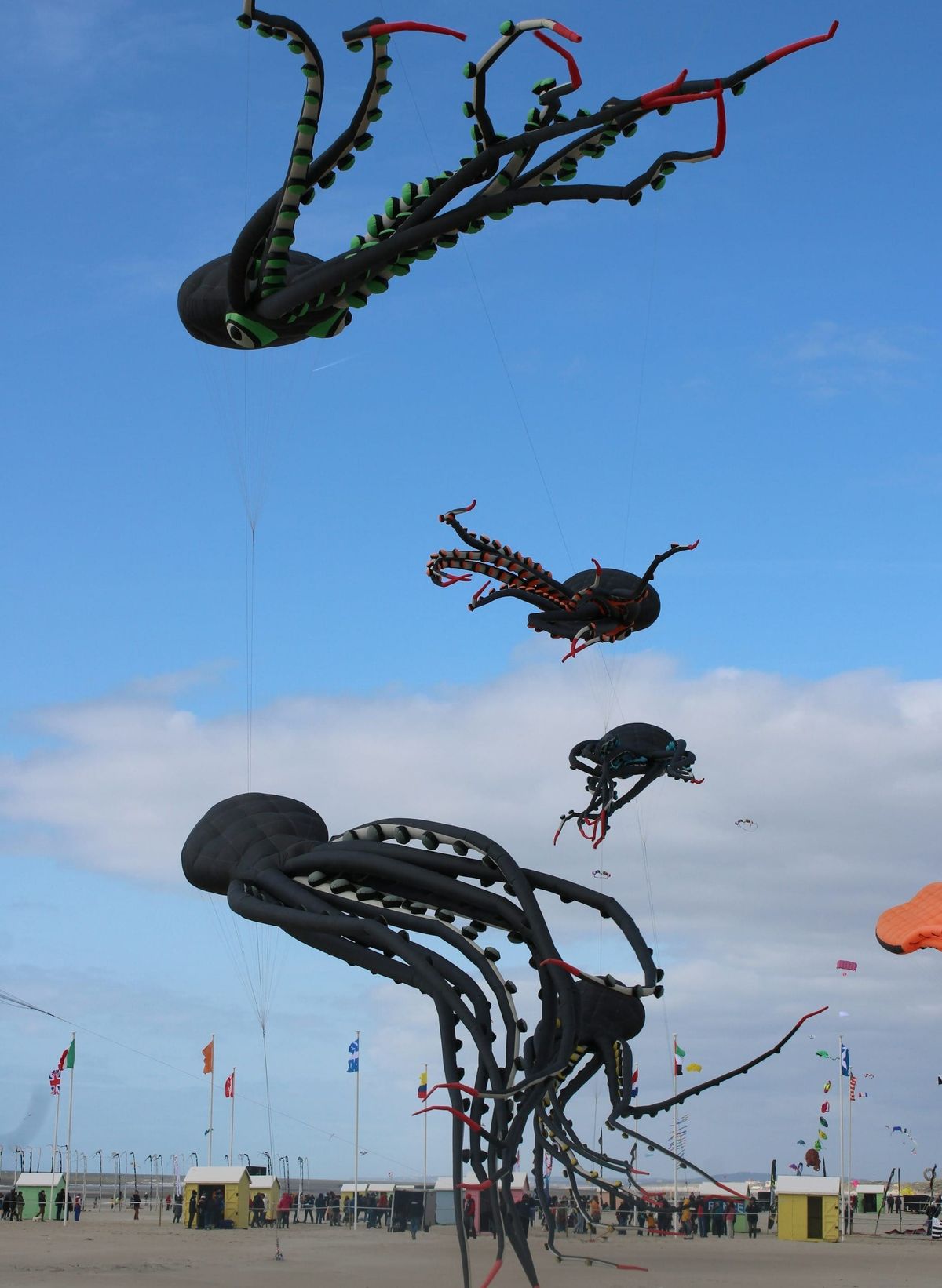 Berck-Sur-Mer , ville nichée sur la Côte d'Opale 