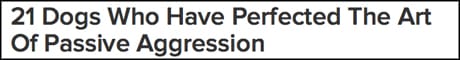 BuzzFeed headline 1