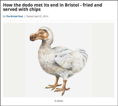 Dodo