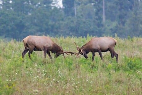 'Collaboration over competition' is the way forward for public interest media