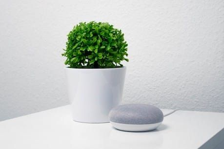 “Hey Google, tell me something good”