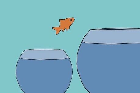 'Treat rejection as a networking opportunity'